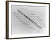 Satellite Launch Rocket Diagram-null-Framed Giclee Print