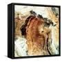 Satellite Photograph of Great Namaland, Namibia, 1972-null-Framed Stretched Canvas