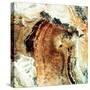 Satellite Photograph of Great Namaland, Namibia, 1972-null-Stretched Canvas