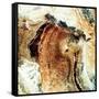 Satellite Photograph of Great Namaland, Namibia, 1972-null-Framed Stretched Canvas