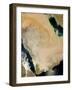 Satellite View of a Dust Storm in Saudi Arabia.-Stocktrek Images-Framed Photographic Print