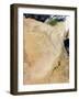 Satellite View of a Dust Storm Stretching from Sudan Toward Egypt-null-Framed Photographic Print