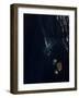 Satellite View of a New Island Forming in the Red Sea-null-Framed Photographic Print