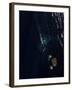 Satellite View of a New Island Forming in the Red Sea-null-Framed Photographic Print