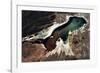 Satellite view of a saline lake, Lake Poopo, Oruro Department, Bolivia-null-Framed Photographic Print