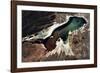 Satellite view of a saline lake, Lake Poopo, Oruro Department, Bolivia-null-Framed Photographic Print