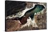 Satellite view of a saline lake, Lake Poopo, Oruro Department, Bolivia-null-Stretched Canvas