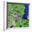 Satellite View of Amsterdam, Netherlands-null-Framed Photographic Print