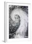Satellite View of an Extratropical Cyclone-null-Framed Photographic Print