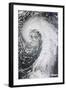 Satellite View of an Extratropical Cyclone-null-Framed Photographic Print