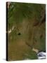 Satellite View of Argentina-Stocktrek Images-Stretched Canvas