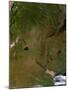 Satellite View of Argentina-Stocktrek Images-Mounted Photographic Print