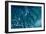 Satellite view of Atlantic Ocean near Elethura, Bahamas-null-Framed Photographic Print