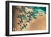 Satellite view of Balkan coastal area of Turkmenistan-null-Framed Photographic Print