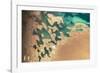 Satellite view of Balkan coastal area of Turkmenistan-null-Framed Photographic Print