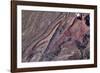Satellite view of Big Horn, Wyoming, USA-null-Framed Photographic Print