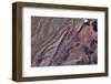 Satellite view of Big Horn, Wyoming, USA-null-Framed Photographic Print