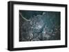 Satellite view of Boston, Massachusetts, USA-null-Framed Photographic Print