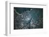 Satellite view of Boston, Massachusetts, USA-null-Framed Photographic Print