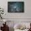 Satellite view of Boston, Massachusetts, USA-null-Framed Stretched Canvas displayed on a wall