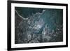 Satellite view of Boston, Massachusetts, USA-null-Framed Photographic Print