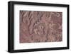 Satellite view of canyons near Moab, Canyonlands National Park, San Juan County, Utah, USA-null-Framed Photographic Print