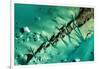 Satellite view of cays in North Atlantic Ocean, Bahamas-null-Framed Photographic Print