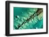 Satellite view of cays in North Atlantic Ocean, Bahamas-null-Framed Photographic Print