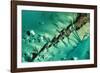 Satellite view of cays in North Atlantic Ocean, Bahamas-null-Framed Photographic Print