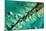 Satellite view of cays in North Atlantic Ocean, Bahamas-null-Mounted Photographic Print