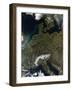 Satellite View of Central Europe-null-Framed Photographic Print