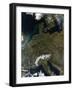 Satellite View of Central Europe-null-Framed Photographic Print