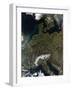 Satellite View of Central Europe-null-Framed Photographic Print