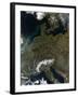 Satellite View of Central Europe-null-Framed Photographic Print