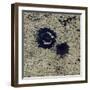 Satellite View of Clearwater Lakes in Quebec, Canada-null-Framed Photographic Print