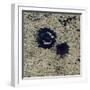 Satellite View of Clearwater Lakes in Quebec, Canada-null-Framed Photographic Print