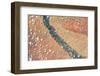 Satellite view of clouds and Tana River near Garissa, Kenya-null-Framed Photographic Print