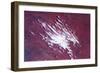 Satellite view of clouds over desert, Costellos, Northern Territory, Australia-null-Framed Photographic Print