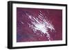 Satellite view of clouds over desert, Costellos, Northern Territory, Australia-null-Framed Photographic Print