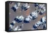 Satellite view of clouds over landscape, Kyzylorda Province, Kazakhstan-null-Framed Stretched Canvas