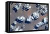 Satellite view of clouds over landscape, Kyzylorda Province, Kazakhstan-null-Framed Stretched Canvas