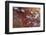 Satellite view of clouds over Tombouctou landscape, Mali-null-Framed Photographic Print