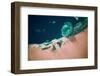 Satellite view of coastal area and Red Sea, Egypt-null-Framed Photographic Print
