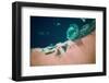 Satellite view of coastal area and Red Sea, Egypt-null-Framed Photographic Print