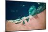 Satellite view of coastal area and Red Sea, Egypt-null-Mounted Photographic Print