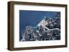 Satellite view of coastal town in Africa-null-Framed Photographic Print