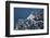 Satellite view of coastal town in Africa-null-Framed Photographic Print