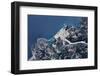 Satellite view of coastal town in Africa-null-Framed Photographic Print