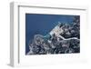 Satellite view of coastal town in Africa-null-Framed Photographic Print