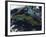 Satellite View of Cuba-null-Framed Photographic Print